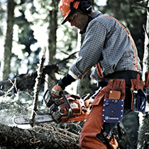 Professional Chainsaws