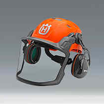 Forestry Helmets 