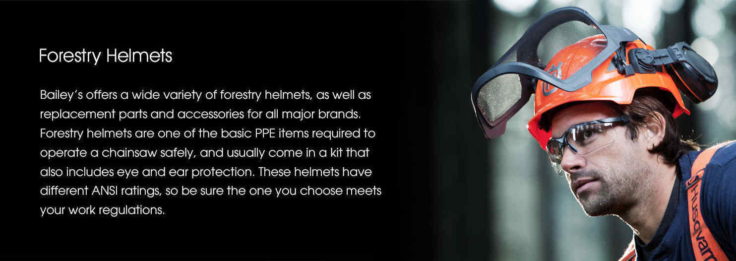 Forestry Helmets 