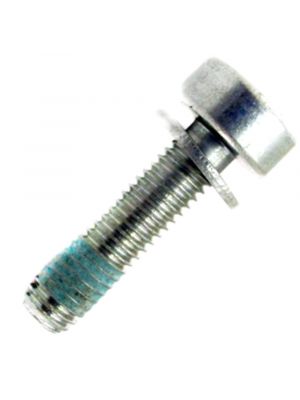 Stihl Torx Head Screw (M5 x 20)