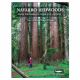Navarro Redwoods (From the Ashes of Clear-Cut Logging) by Gerald F. Beranek