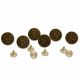 Bailey's Logger Wear Bachelor Buttons (6-Pack)