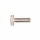 Lewis Winch Bolt for Handle