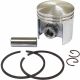 Stihl Piston Assembly (42mm) for Older 025 Chainsaws